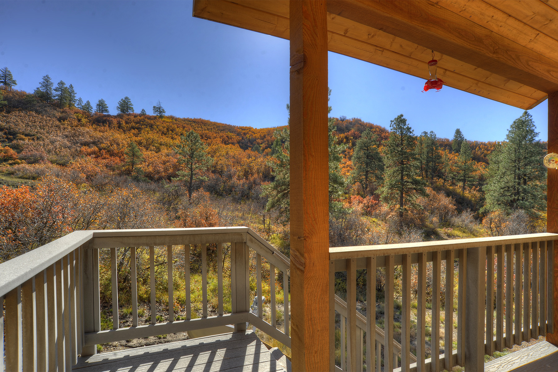 Singles in durango co These Are The 10 Easiest Cities To Get Laid In Colorado For - RoadSnacks